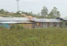 ‘Kopi Pangku’ di Simpi  Resahkan Warga