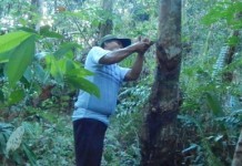 Bukan Minta Duit, Hanya Ingin Pabrik Karet Dibangun