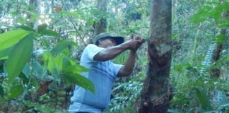 Bukan Minta Duit, Hanya Ingin Pabrik Karet Dibangun