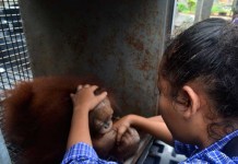 Menangis Saat Perpisahan