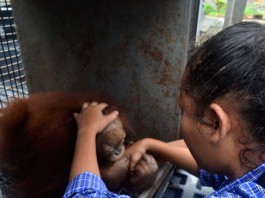 Menangis Saat Perpisahan