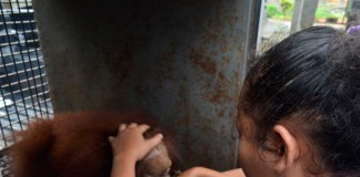 Menangis Saat Perpisahan