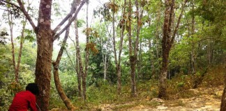 Dari Bekerja Serabutan, Warga Trans Bisa Miliki Aset Miliaran