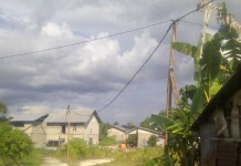 Dirikan Tiang Listrik dari Kayu