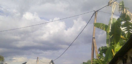 Dirikan Tiang Listrik dari Kayu