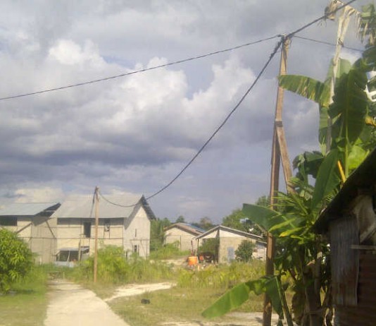 Dirikan Tiang Listrik dari Kayu