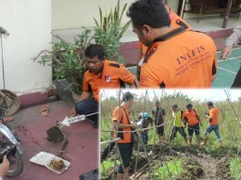 Bacok Mantan Istri Tusuk Perut Sendiri