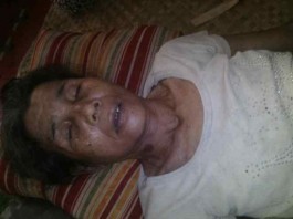 Tebang Bambu Tersengat Listrik