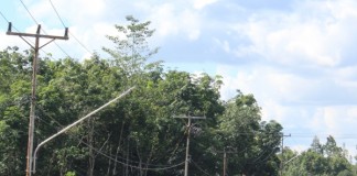 Warga Protes PJU Tak Nyala Konstan