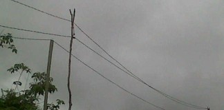 Tiang Listrik Kayu Masih Terlihat di Melawi