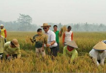 Sayuran-Bumbu Dapur Diimpor, Salah Siapa?