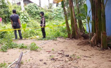 Anjing Jaga Mayat Tuannya