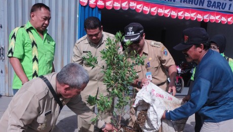 Pucuk Merah Penuhi Jalan Sungai Pinyuh-Mempawah