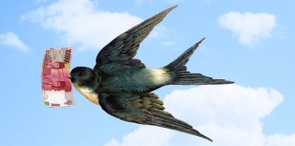 Realisasi Pajak Walet dan BPHTB Tak Capai Target