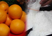 Jeruk Sankis Isinya Sabu