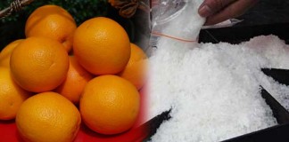 Jeruk Sankis Isinya Sabu