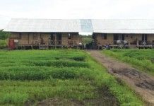 Enggan Angkat Kaki dari ‘Surga’