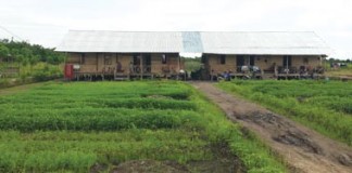 Enggan Angkat Kaki dari ‘Surga’