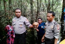 Geger Penemuan Tengkorak di Tayan