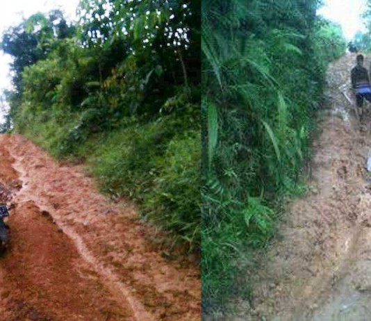 Para Guru Berjibaku dalam Kubangan Lumpur