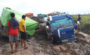 Mobil Tak Ubahnya Kerbau Sedang Membajak Sawah