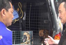 Buwas ke Surabaya Cari Anjing Pelacak