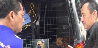 Buwas ke Surabaya Cari Anjing Pelacak