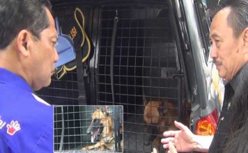 Buwas ke Surabaya Cari Anjing Pelacak