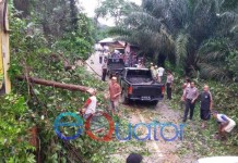 Longsor di Bukit Seha