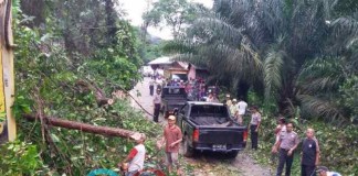 Longsor di Bukit Seha