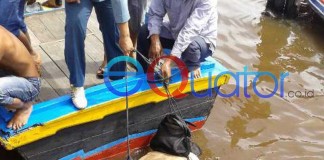 Atlet Angkat Besi Tewas Mengapung