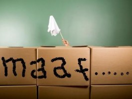 Mapan, Gagah, Rajin Olahraga, Tapi Minta Maaf ke Istri di Malam Pertama