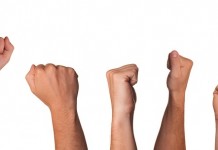 Dewan Pers Protes Kekerasan TNI AU