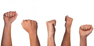 Dewan Pers Protes Kekerasan TNI AU