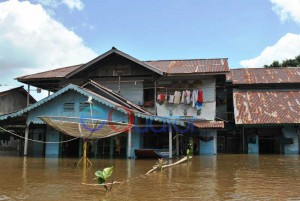 TAK NONTON TV. Rumah warga di Dusun Satai, Desa Sepantai, Kecamatan Sejangkung, Sambas, yang tergenang air hingga mencapai 1,2 meter, Kamis (25/2). Parabola penangkap sinyal tv pun ikut terendam. 