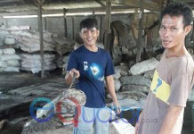 Satu Kilo Beras Sama dengan Dua Kilo Getah