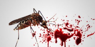 Awas!!! 9 Desa Endemik DBD