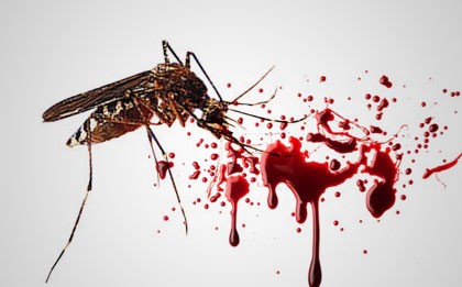 RSUD Rubini Rawat 4 Pasien DBD