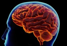 Yakin Polisi Tak Perlu Tes Kejiwaan Berkala