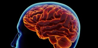 Yakin Polisi Tak Perlu Tes Kejiwaan Berkala