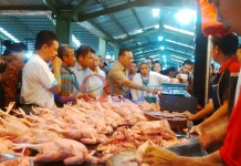 Pakan Naik, Harga Ayam Ikut Melonjak
