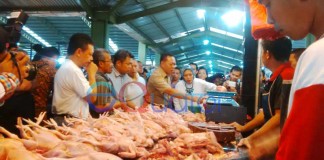 Pakan Naik, Harga Ayam Ikut Melonjak