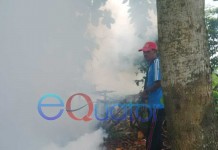 Satu Pasien DBD Sungai Raya Meninggal Dunia