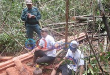 BKSDA Incar Otak Pembabatan Hutan