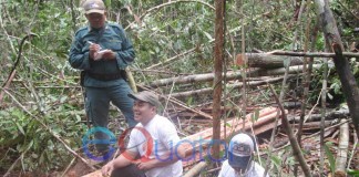 BKSDA Incar Otak Pembabatan Hutan