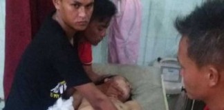 Adu Kambing, Tiga Orang Luka Parah