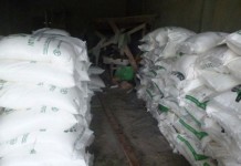 Lintasi Kebun Sawit, Angkut Sembilan Ton Gula Malaysia