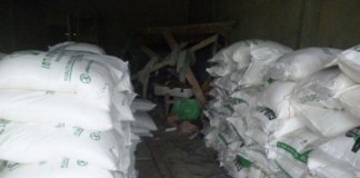 Lintasi Kebun Sawit, Angkut Sembilan Ton Gula Malaysia