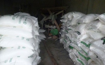 Lintasi Kebun Sawit, Angkut Sembilan Ton Gula Malaysia