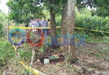 Kuburan Bayi Hebohkan Warga